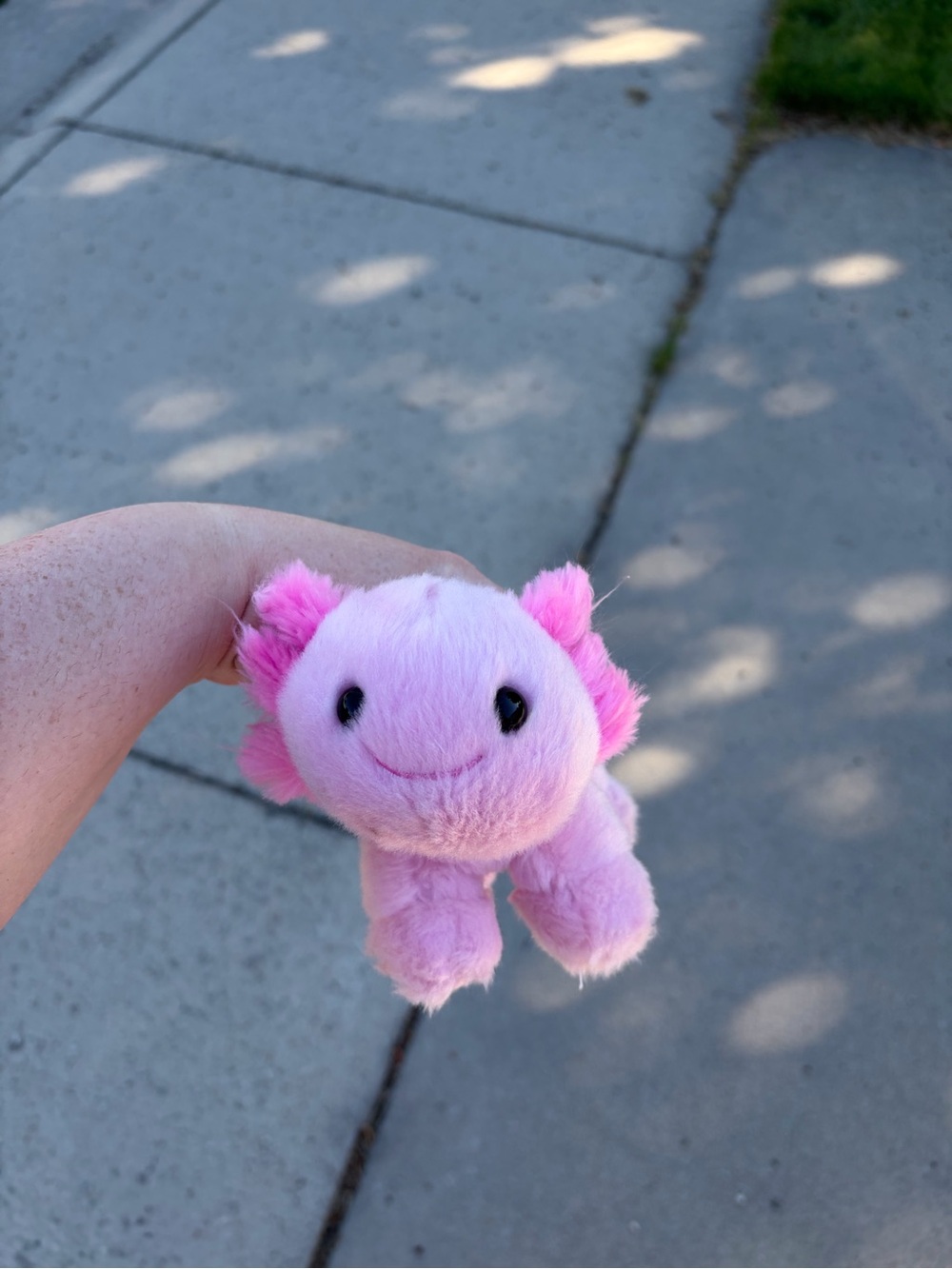 Plush Pink Axolotl SmallFry  - Build a Bear workshop
